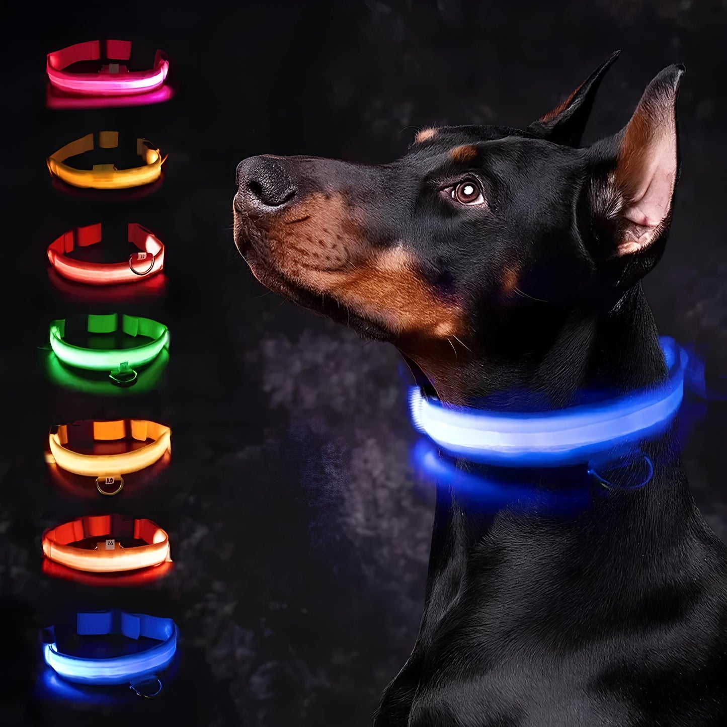 GlowPaw™ Sentinel Safety Collar