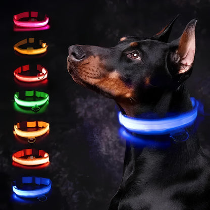 GlowPaw™ Sentinel Safety Collar