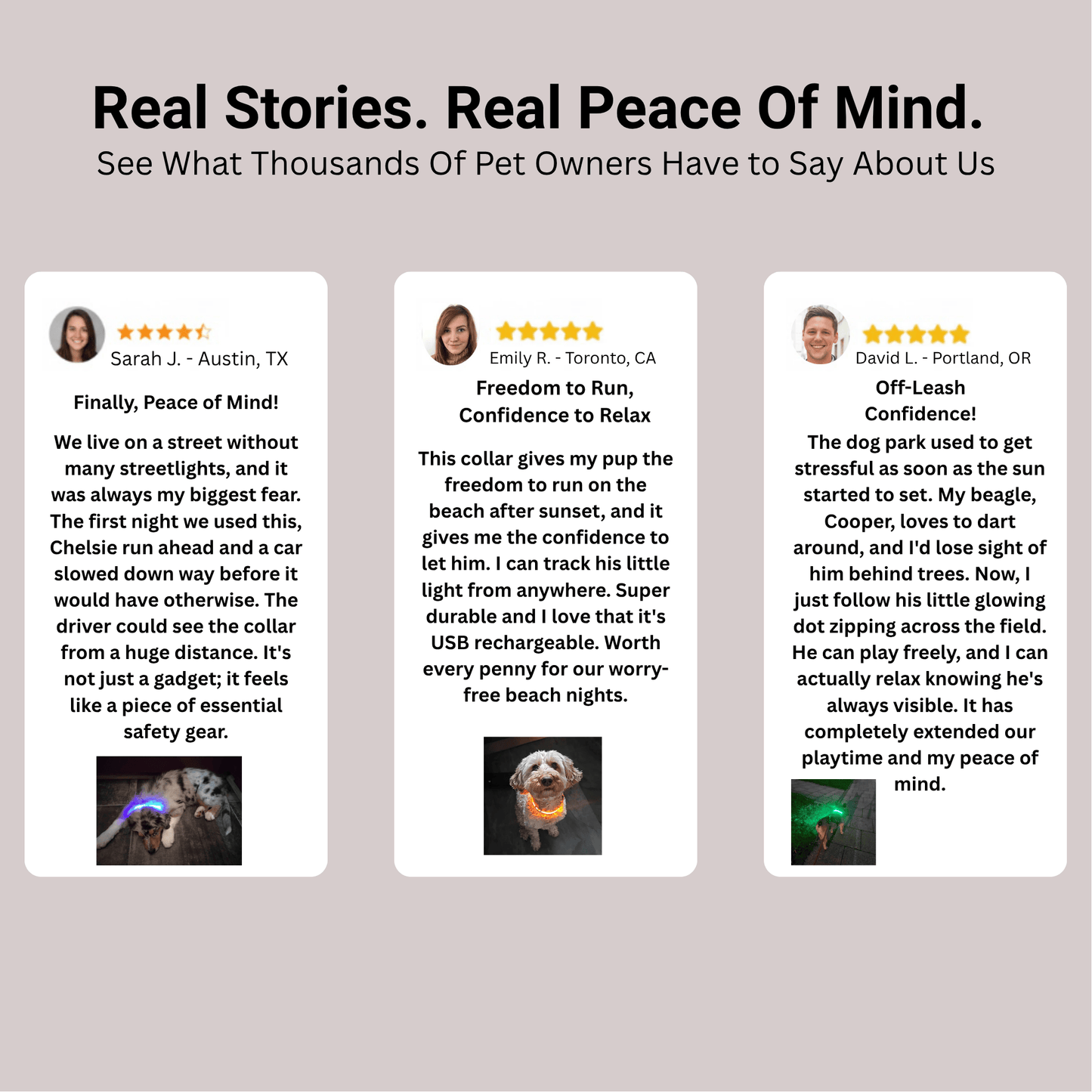 GlowPaw™ Led Safety Collar