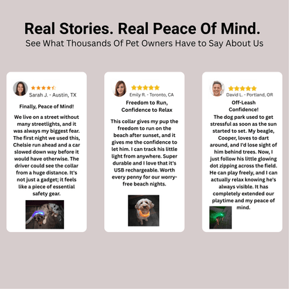 GlowPaw™ Led Safety Collar