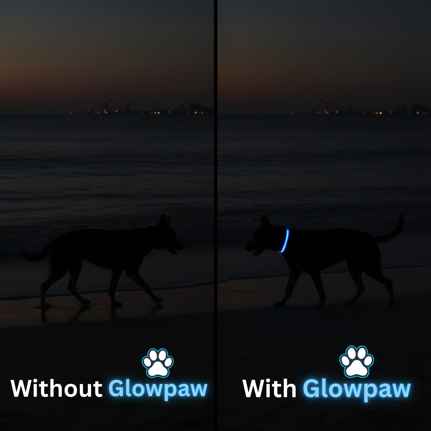 GlowPaw™ Led Safety Collar