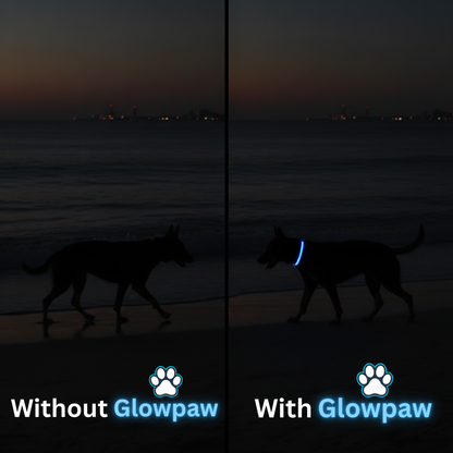 GlowPaw™ Led Safety Collar