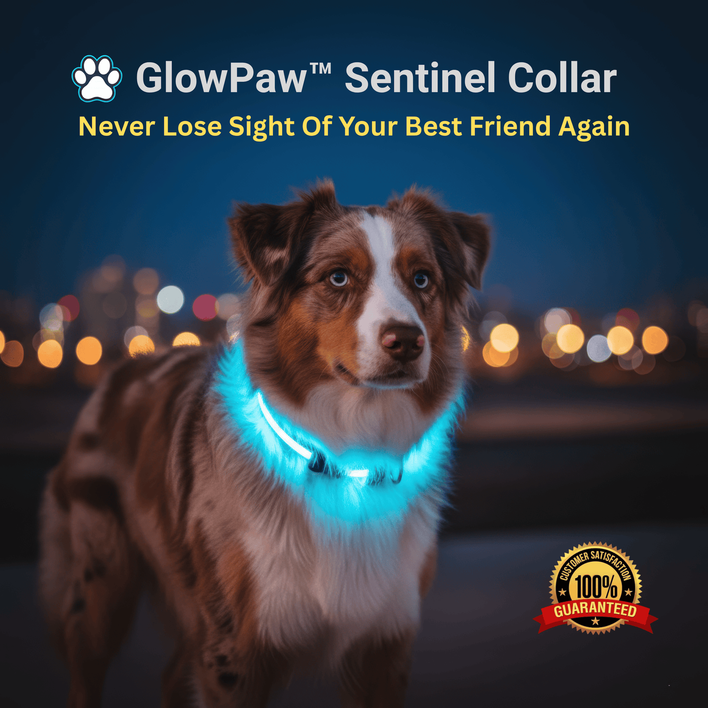 GlowPaw™ Sentinel Safety Collar