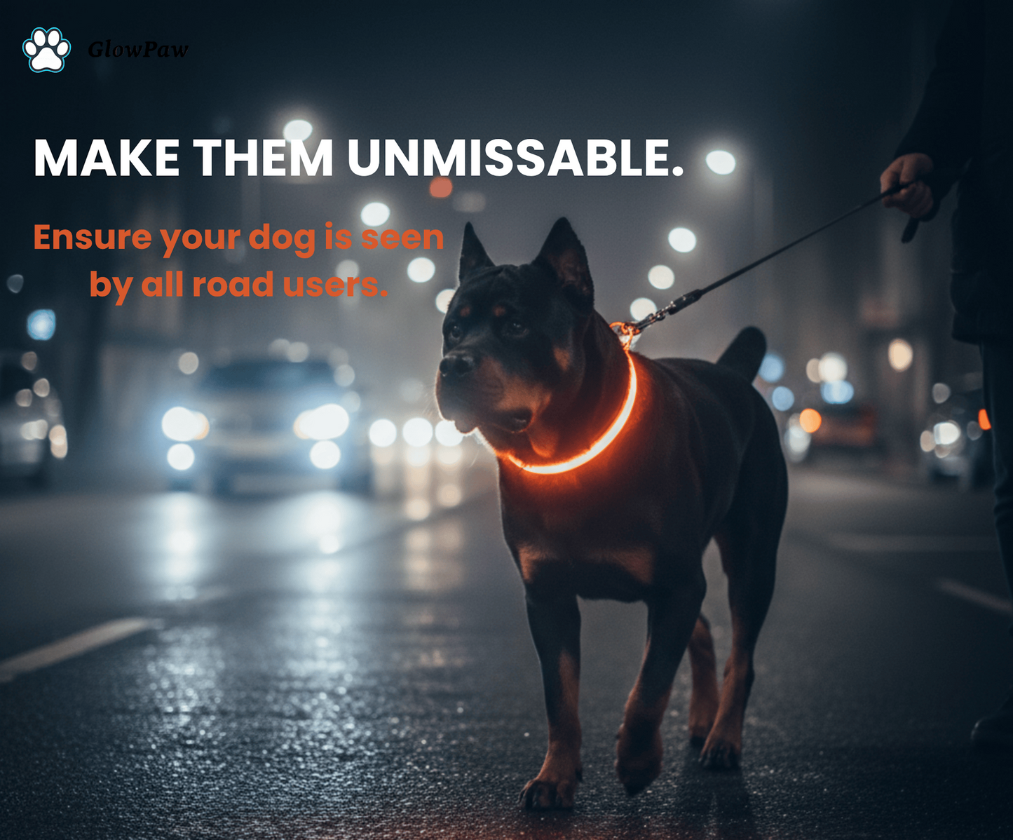 GlowPaw™ Sentinel Safety Collar