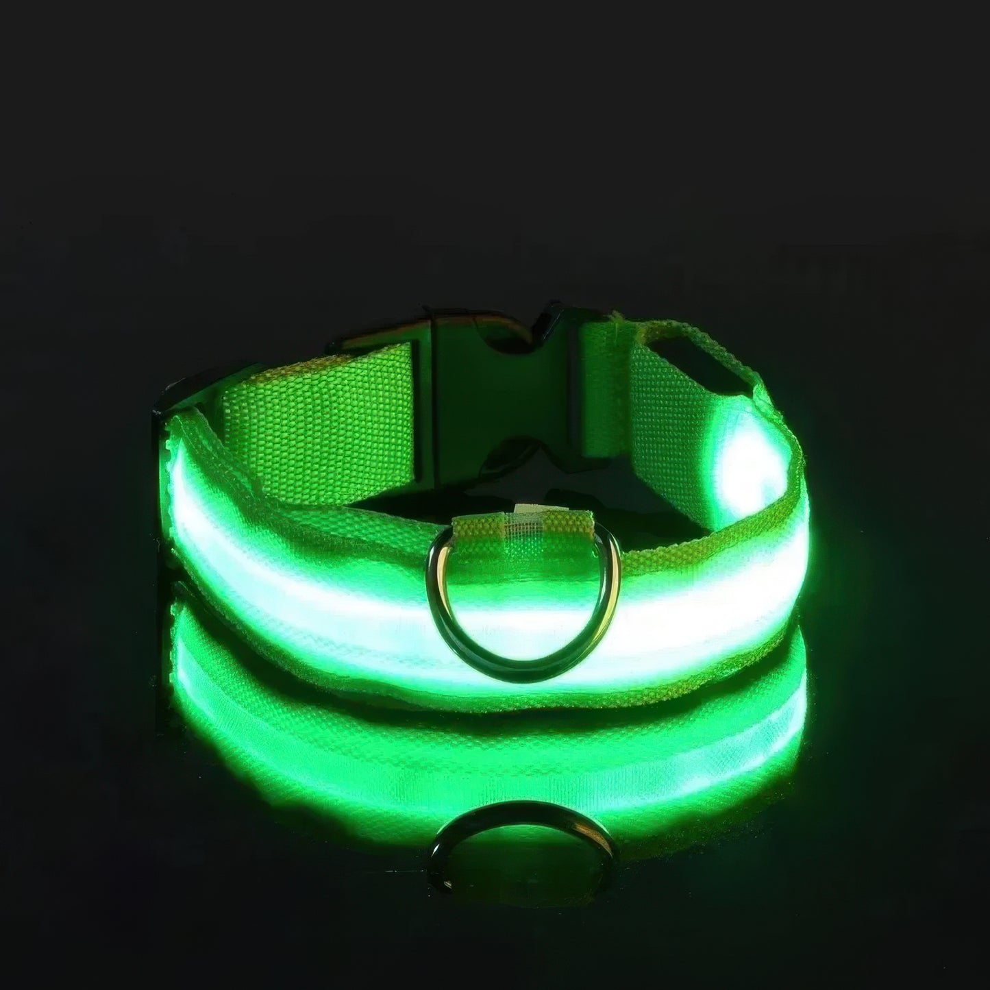 GlowPaw™ Led Safety Collar