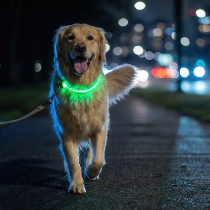 GlowPaw™ Led Safety Collar