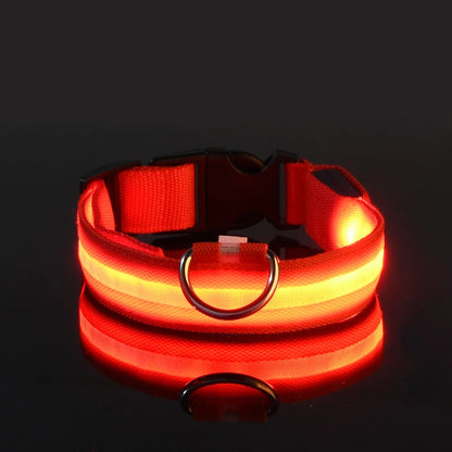 GlowPaw™ Sentinel Safety Collar